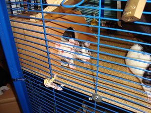 DSC00937.jpg verkleinert.jpg