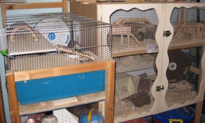 Tony Gesamtansicht.JPG