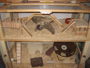 Tonys Innenreich.JPG