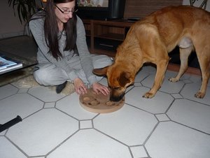 Scooby Kopftraining.JPG