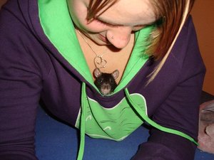 DSC01019.jpg verkleinert.jpg