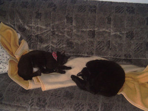 Cherry & big mama 001a.jpg