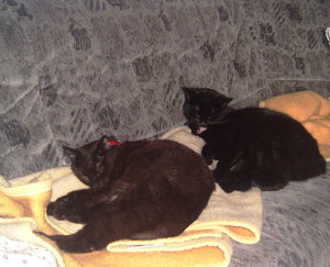 Cherry & big mama 005a.jpg