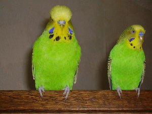 biancas bilder 061.jpg