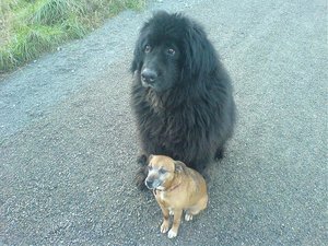 comp_Leon und tasha.jpg