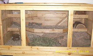 HamsterkÃ¤fig 1.jpg