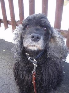 Bilder 2006 (bis Cannes) 064.jpg