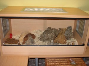 fritz kÃ¤fig 001.jpg