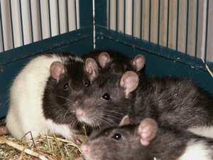 GrÃ¶ÃŸenÃ¤nderung PICT2862.JPG