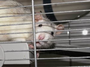 GrÃ¶ÃŸenÃ¤nderung PICT2897.JPG