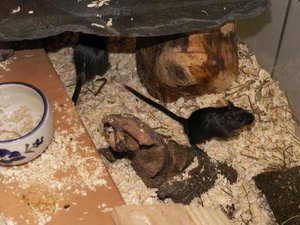 GrÃ¶ÃŸenÃ¤nderung PICT2877.JPG