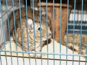 GrÃ¶ÃŸenÃ¤nderung PICT2899.JPG