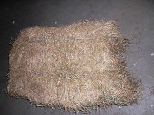 Heu.JPG Heu.JPG