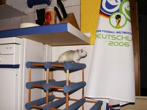 GrÃ¶ÃŸenÃ¤nderung PICT3187.JPG