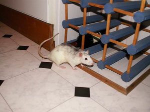 GrÃ¶ÃŸenÃ¤nderung PICT3192.JPG