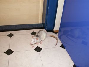 GrÃ¶ÃŸenÃ¤nderung PICT3193.JPG