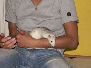 GrÃ¶ÃŸenÃ¤nderung PICT3204.JPG