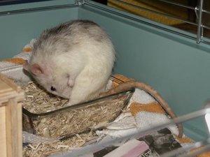 GrÃ¶ÃŸenÃ¤nderung PICT3213.JPG