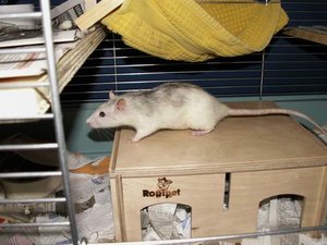 GrÃ¶ÃŸenÃ¤nderung PICT3214.JPG