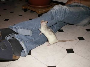 GrÃ¶ÃŸenÃ¤nderung PICT3219.JPG