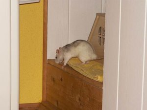 GrÃ¶ÃŸenÃ¤nderung PICT3218.JPG