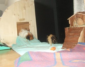 Hochzeit Coburg 129.jpg