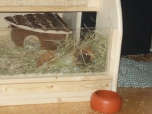 Hochzeit Coburg 136.jpg