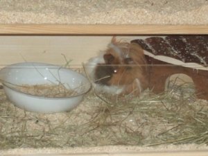 Hochzeit Coburg 137.jpg