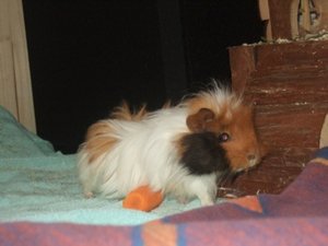 Hochzeit Coburg 130.jpg