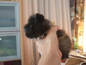 Hochzeit Coburg 126.jpg