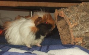 Hochzeit Coburg 122.jpg