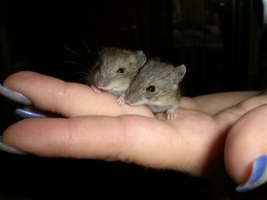 CIMG0128.jpg CIMG0128.jpg