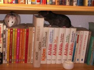 GrÃ¶ÃŸenÃ¤nderung PICT3435.JPG