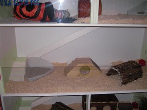 SANY0228 (Small).JPG