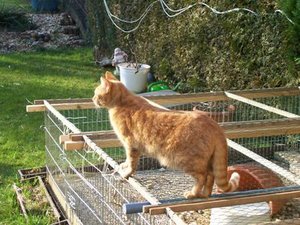 Kopie von 100_0873.JPG