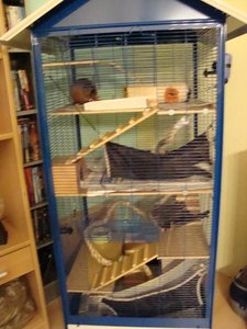 DSC00949.jpg verkleinert.jpg