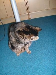 Milena Fotos 017.jpg