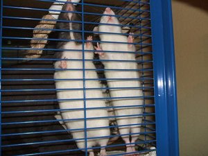 DSCF1191.jpg verkleinert.jpg