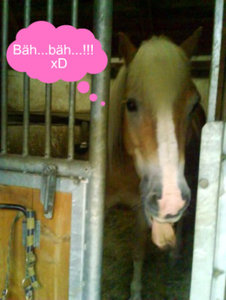 BÃ¤h...bÃ¤h...!!! xD.jpg