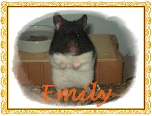 Emily39 - Kopie.JPG