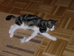 GrÃ¶ÃŸenÃ¤nderung P1040085.JPG