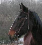 Manu Dez 06 web2.JPG