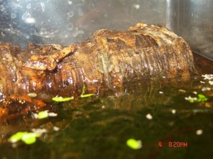 Bild 056 [50%] [50%].jpg