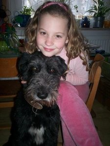 Bilder gemischt 247 (Small).jpg