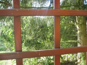 such den Merlin 002.jpg