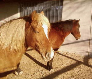 Jeanny schlÃ¤ft.jpg