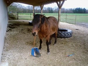 BjÃ¶rgus mit aufsammelgerÃ¤t_klein.JPG