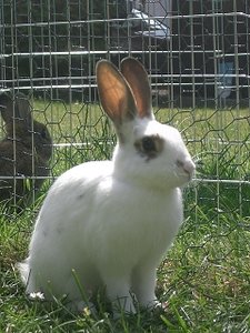 k-Finepix J50 049.jpg