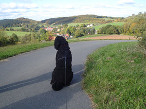 auf dem Weg nach Reichenbach.jpg