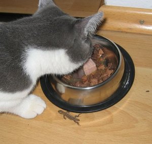 KatzenwÃ¤sche. 005.jpg